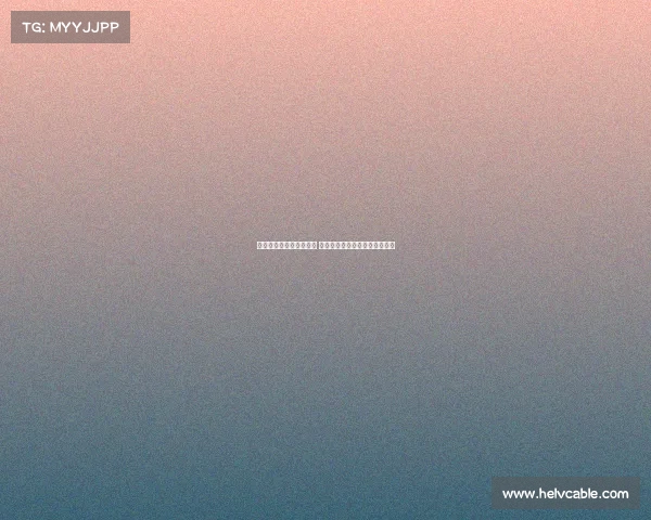 鲍勃称今夏新援表现出色 幸见特拉福德回归球队核心位置