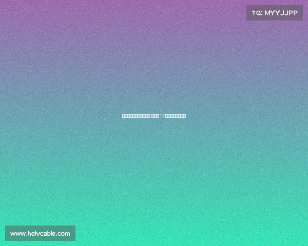 马竞新援汉茨科正式加盟 将身披17号球衣亮相新赛季